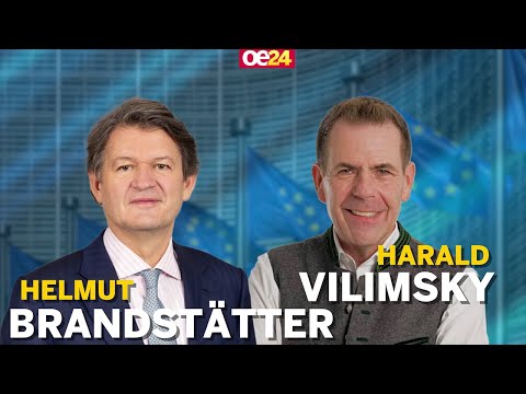 ⭐️ EU-Wahl: Helmut Brandstätter vs. Harald Vilimsky